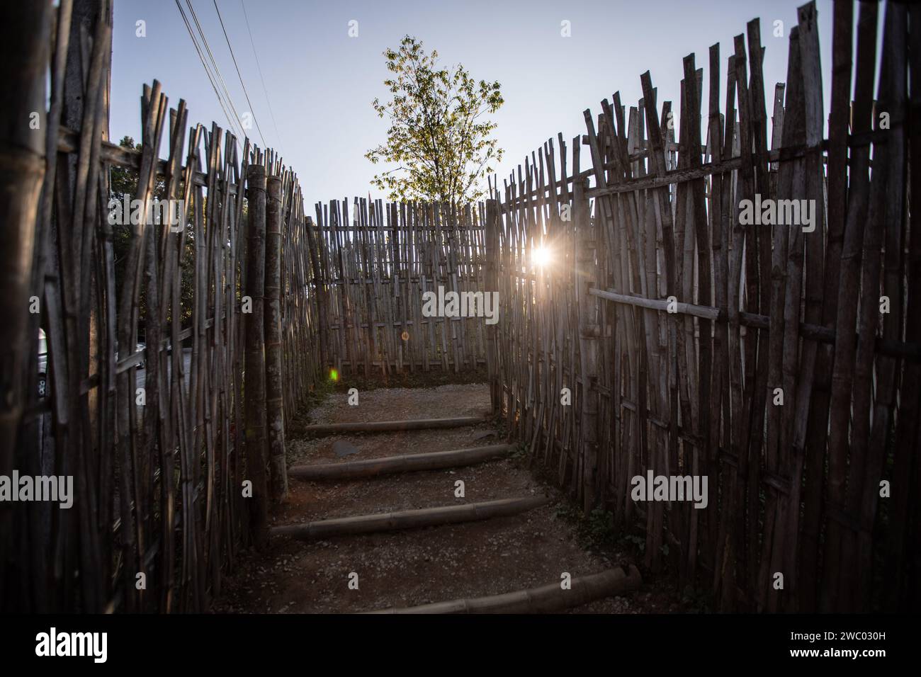 Narrow pathway surrounded by high bamboo fences to enter the Chang Moob Military Outpost as sun shine through. The Chang Moob Military Outpost now turned into a tourist attraction spot, used to be a Thai Royal Army location to prevent drug smuggling and keep an eye on other suspicious activities on the Myanmar side (mostly in the 1990s). Also called the 'Doi Tung Trenches' It starts off with a narrow pathway through high bamboo fences before reaching the main spot with deep trenches along the northernmost sections of the Thai-Myanmar border, with a stunning view of Myanmar mountains. Stock Photo