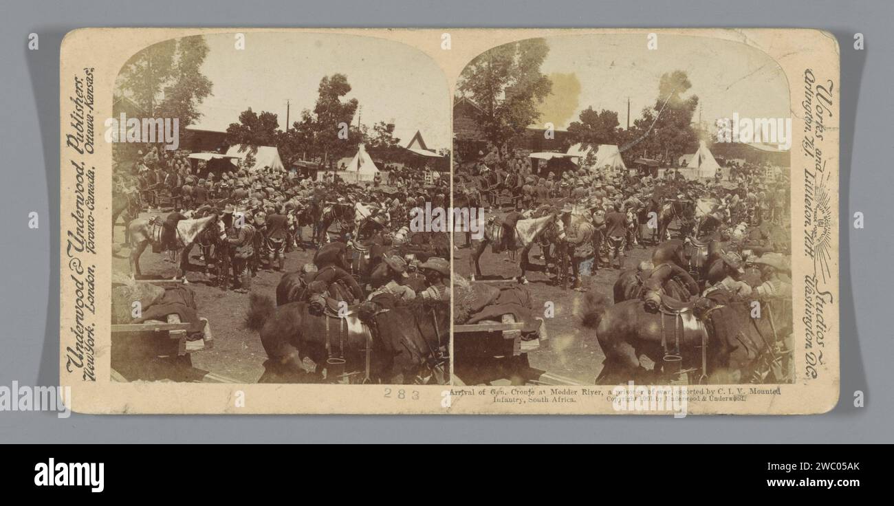 Piet Cronjé, General of the Farmers, was trapped by the British at the mud river, Anonymous, 1901 stereograph  Modderrivierpublisher: New York (city) (possibly) cardboard. paper albumen print prisoner of war (after the battle) Modder River Stock Photo