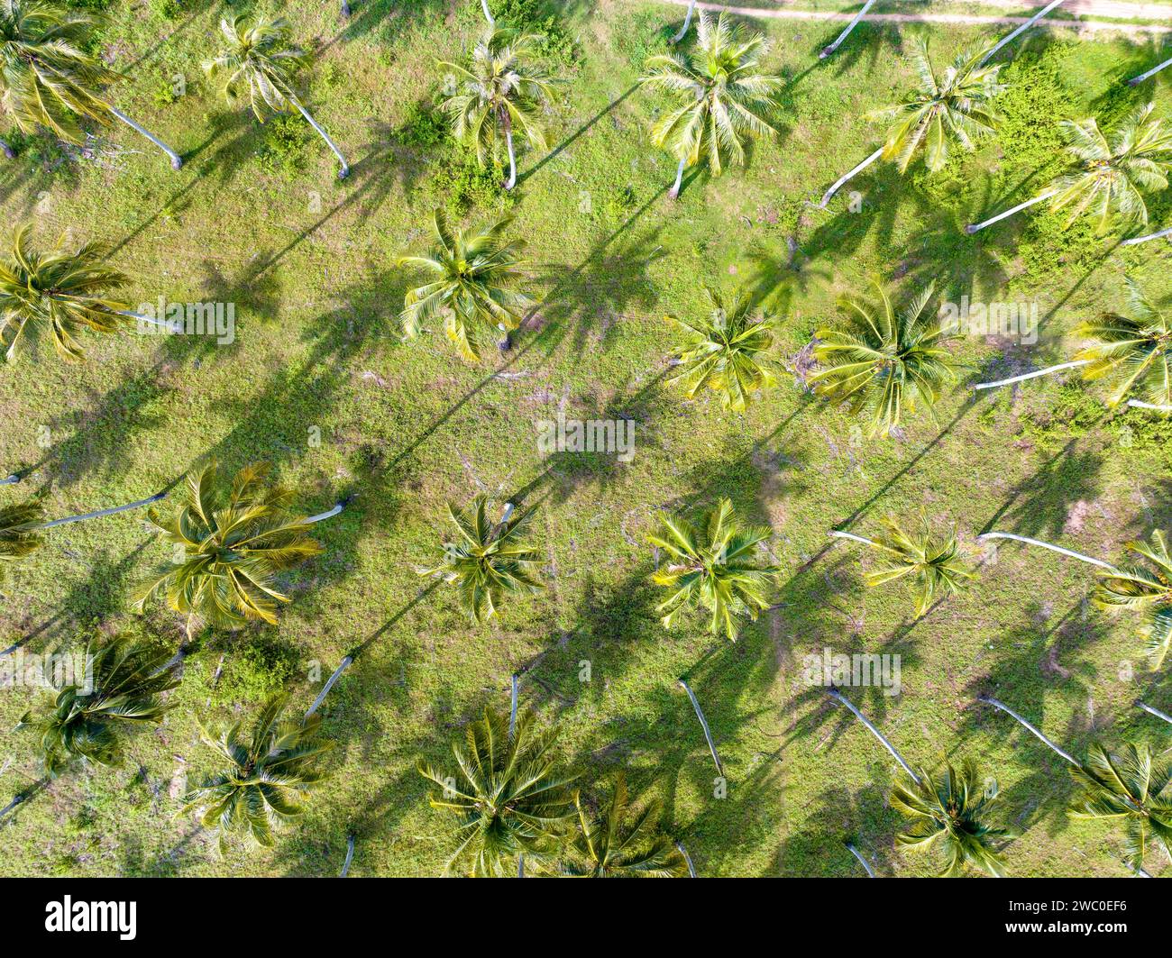 Aerial drone overhead oil field hi-res stock photography and images - Alamy