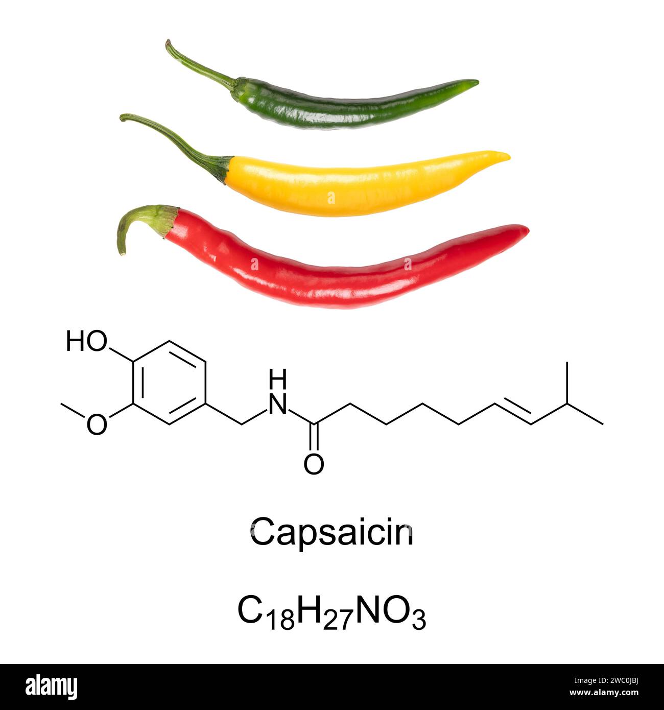 Cayenne chili peppers, and capsaicin chemical formula and structure. Capsaicin is the active component and chemical irritant in chili peppers. Stock Photo