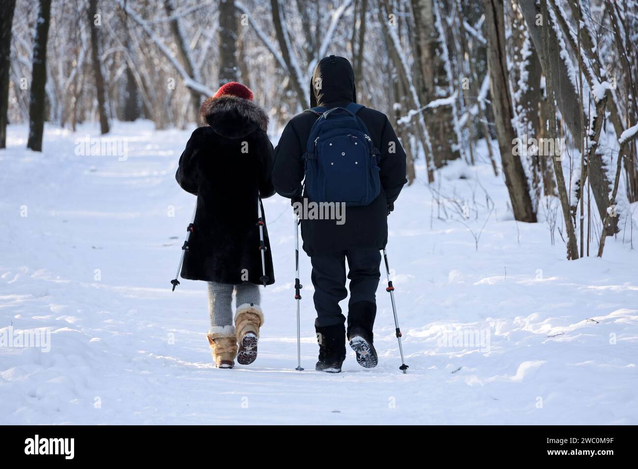 Nordic walking at cold weather, healthy lifestyle. Couple with sticks walks in winter park on snow covered trees background Stock Photo