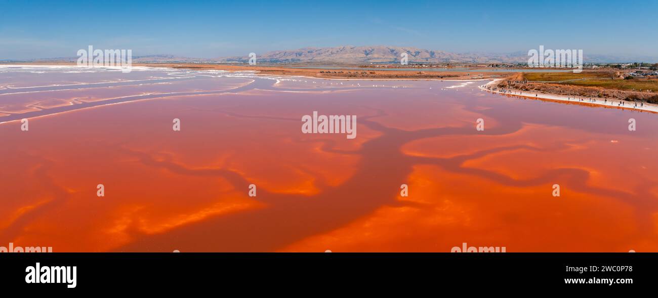 Pink salt ponds at Alviso Marina County Park Stock Photo