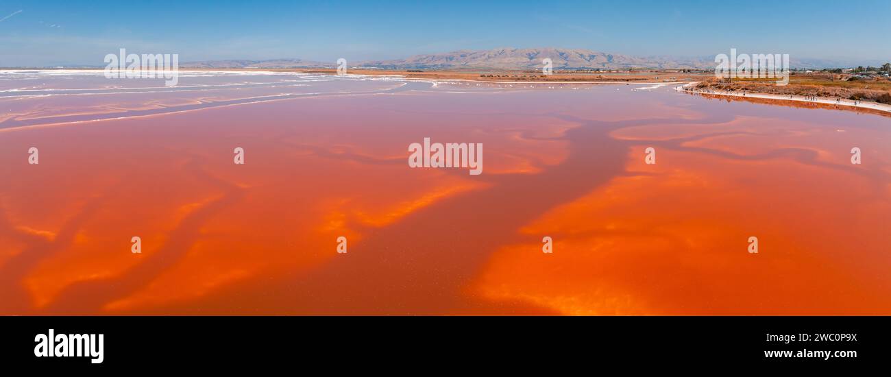 Pink salt ponds at Alviso Marina County Park Stock Photo