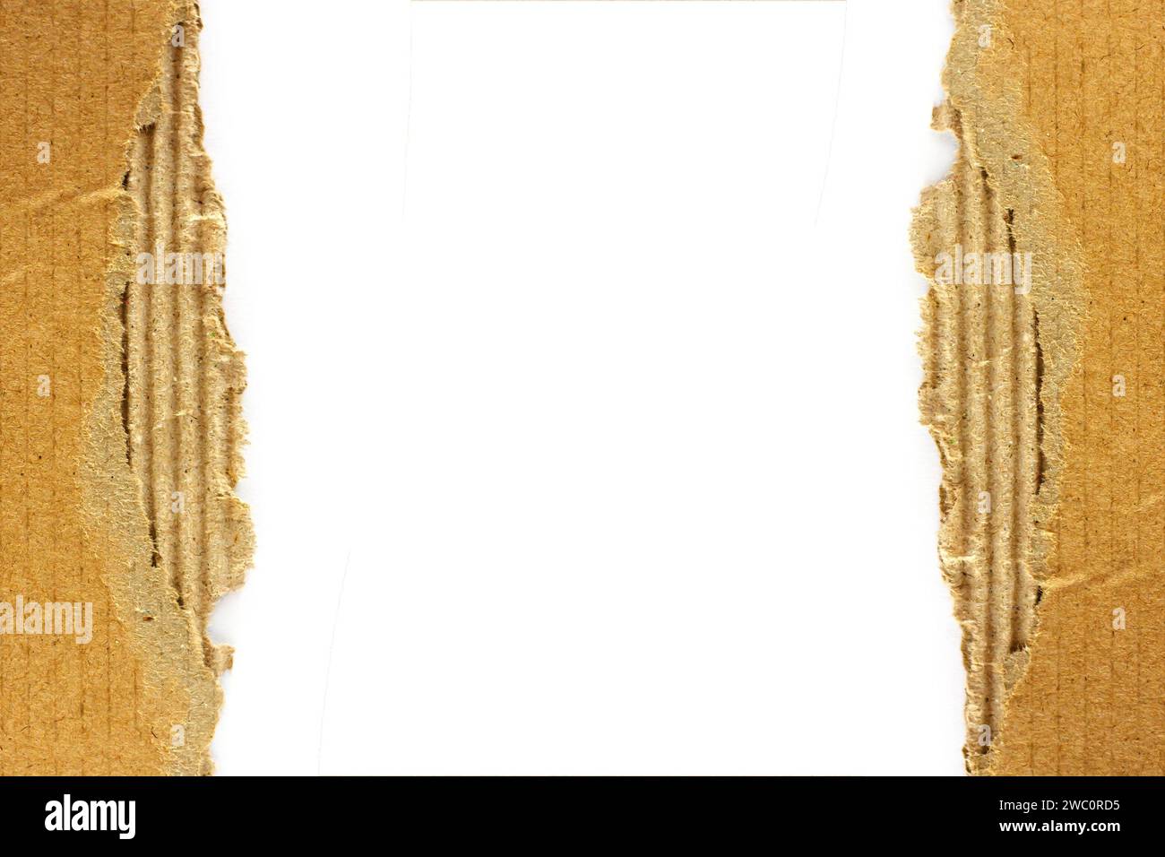 torn cardboard paper on white background Stock Photo - Alamy