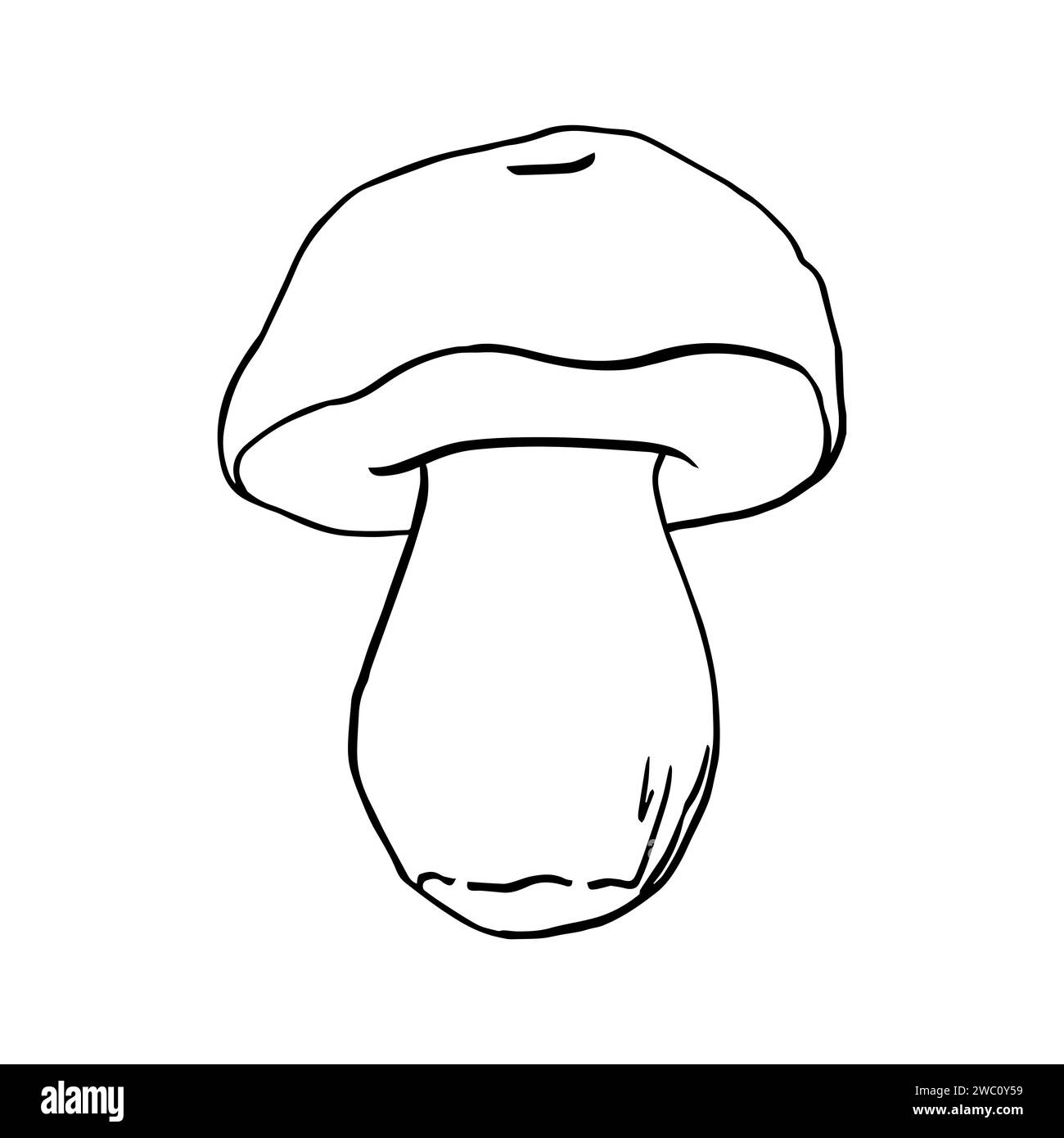 Vector black line contour illustration mushroom drawn by hand, family