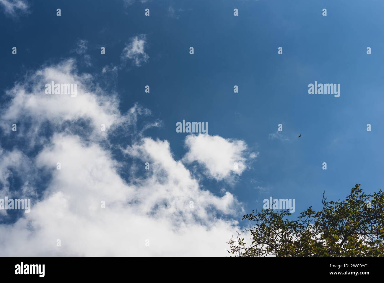 The blue sky filled with fluffy white clouds Stock Photo