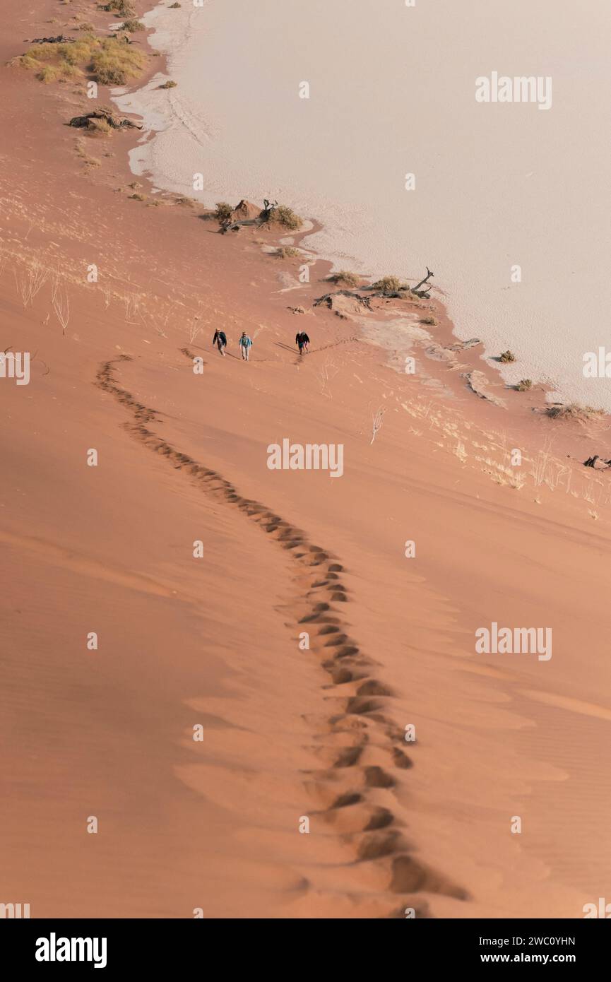 Tourists make their way up a sandy path to the top of a sand dune from ...