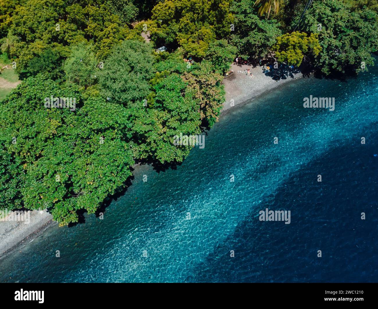 Aerial view of beach coastline with transparent blue ocean and trees. Stock Photo