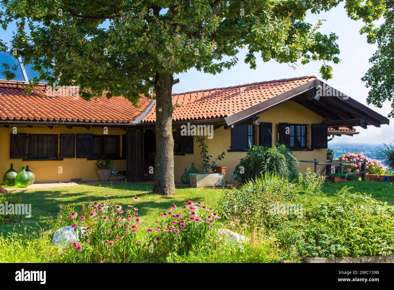 Italy, Lombardy, San Colombano al Lambro, the Nettare Dei Santi winery Stock Photo