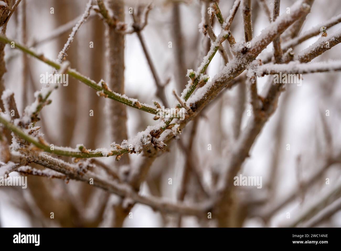 Augsburg, Bavaria, Germany - January 13, 2024: Winter concept, snow and ...