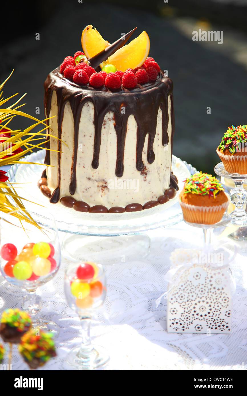 Birthday party for children. A festive table decorated with birthday cake with flowers and sweets. Stock Photo