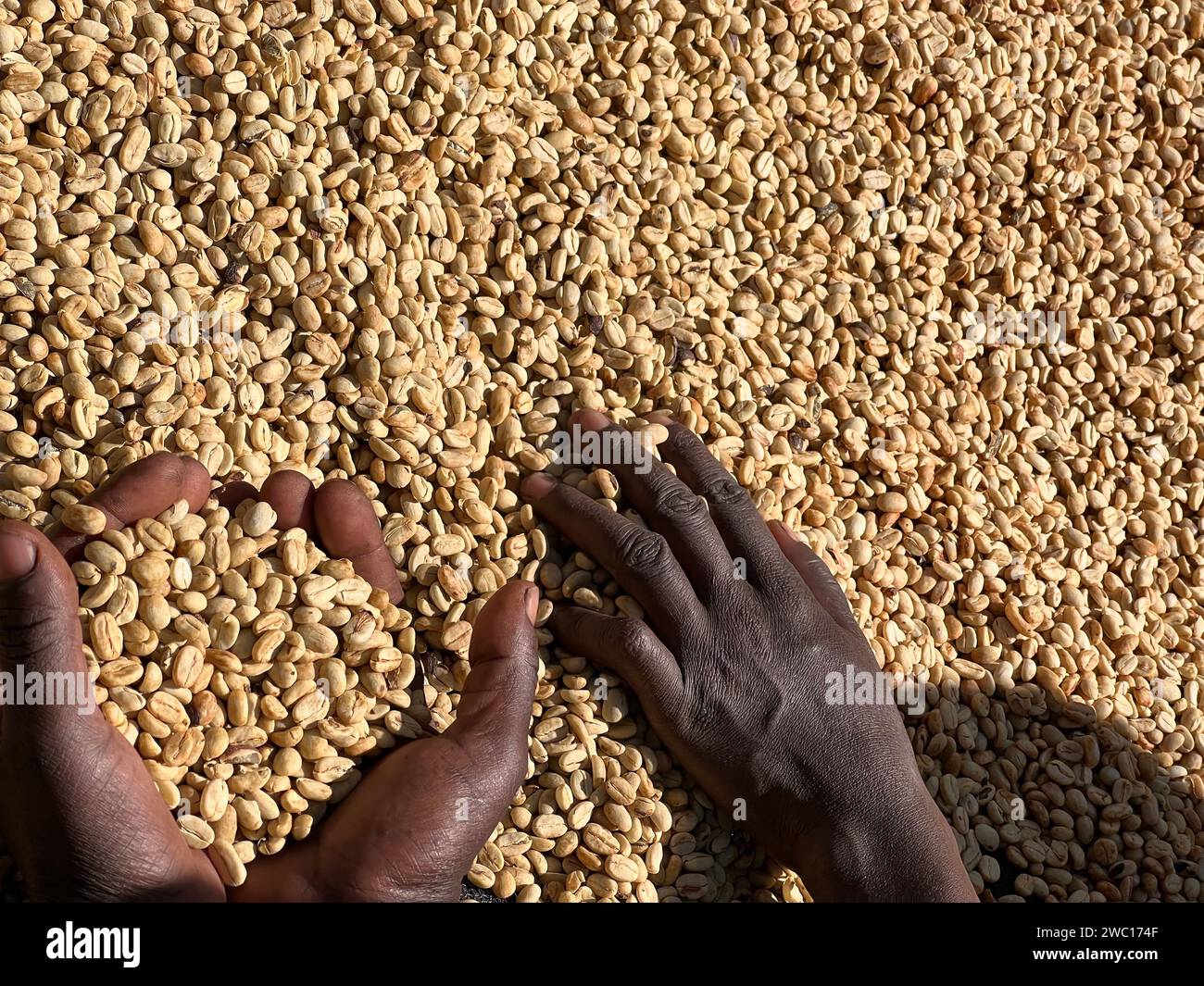 Fermentation in food processing africa hi-res stock photography and ...