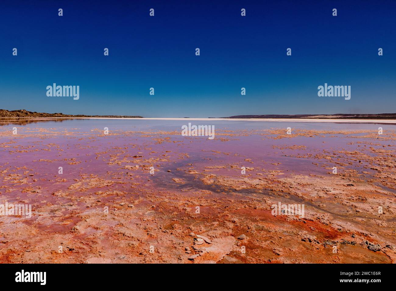A beautiful landscape with shallow water against the background of a blue sky. Western Australia Stock Photo