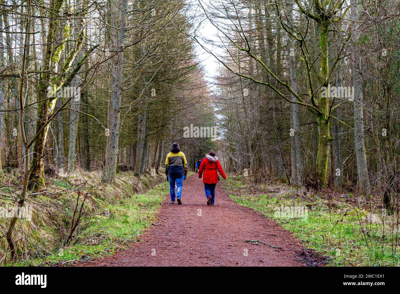 Dundee, Tayside, Scotland, UK.13th Jan, 2024. UK Weather Tayside is experiencing bright winter