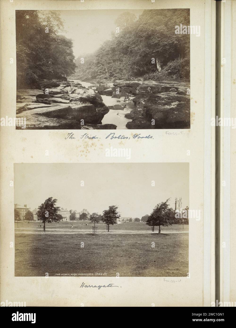 View of the Stray in High Harrogate, 1898 photograph Part of Reisalbum with photos of sights in England and France. Harrogate paper. photographic support albumen print prospect of village, silhouette of village. lawn Harrogate Stock Photo