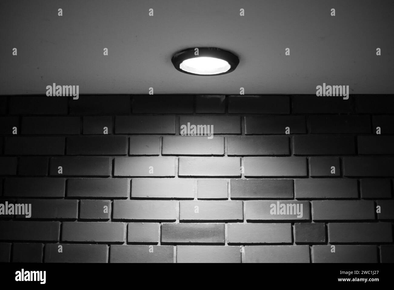 A well-lit room with a brick wall in grayscale Stock Photo - Alamy