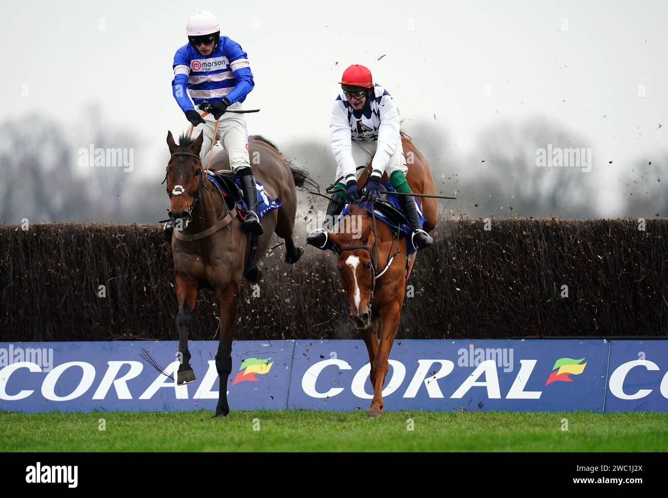 Banbridge horse hires stock photography and images Alamy