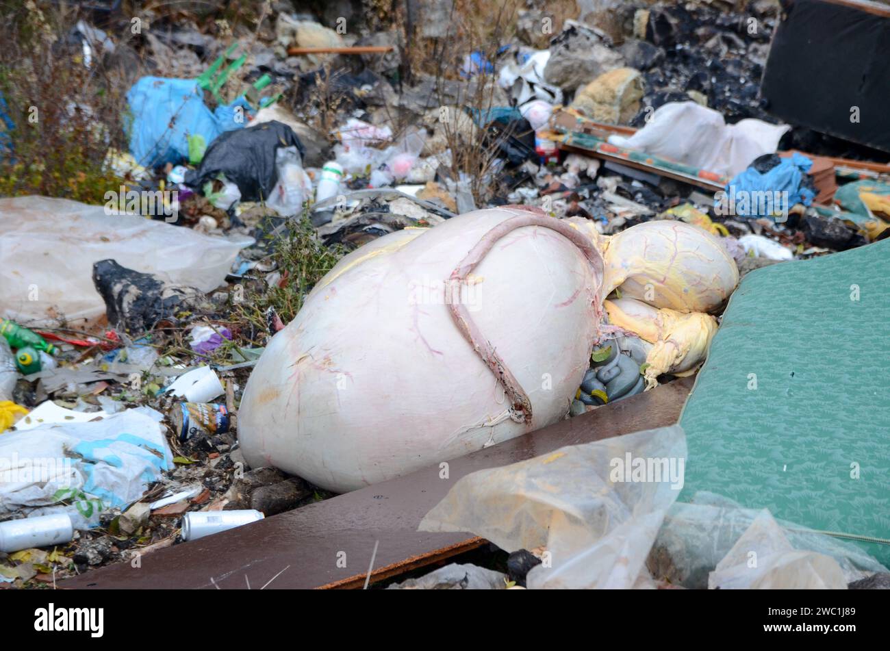 Wild garbage dump in nature. Open landfill site. Pile of garbage. Illegal dumping. Environmental pollution. Waste on landfill area. Animal offal Stock Photo