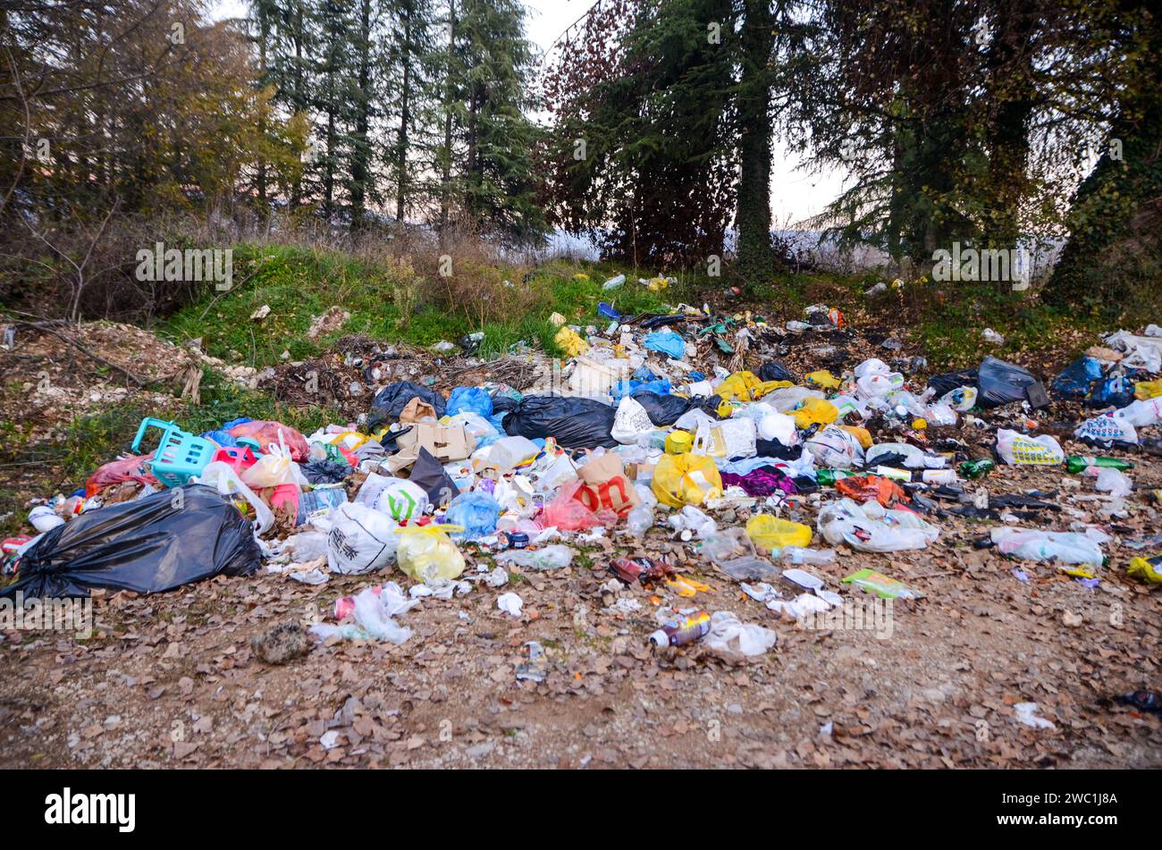 Illegal dumping in nature. Garbage dump in forest. Environmental pollution. Ecological and environmental problem. Stock Photo