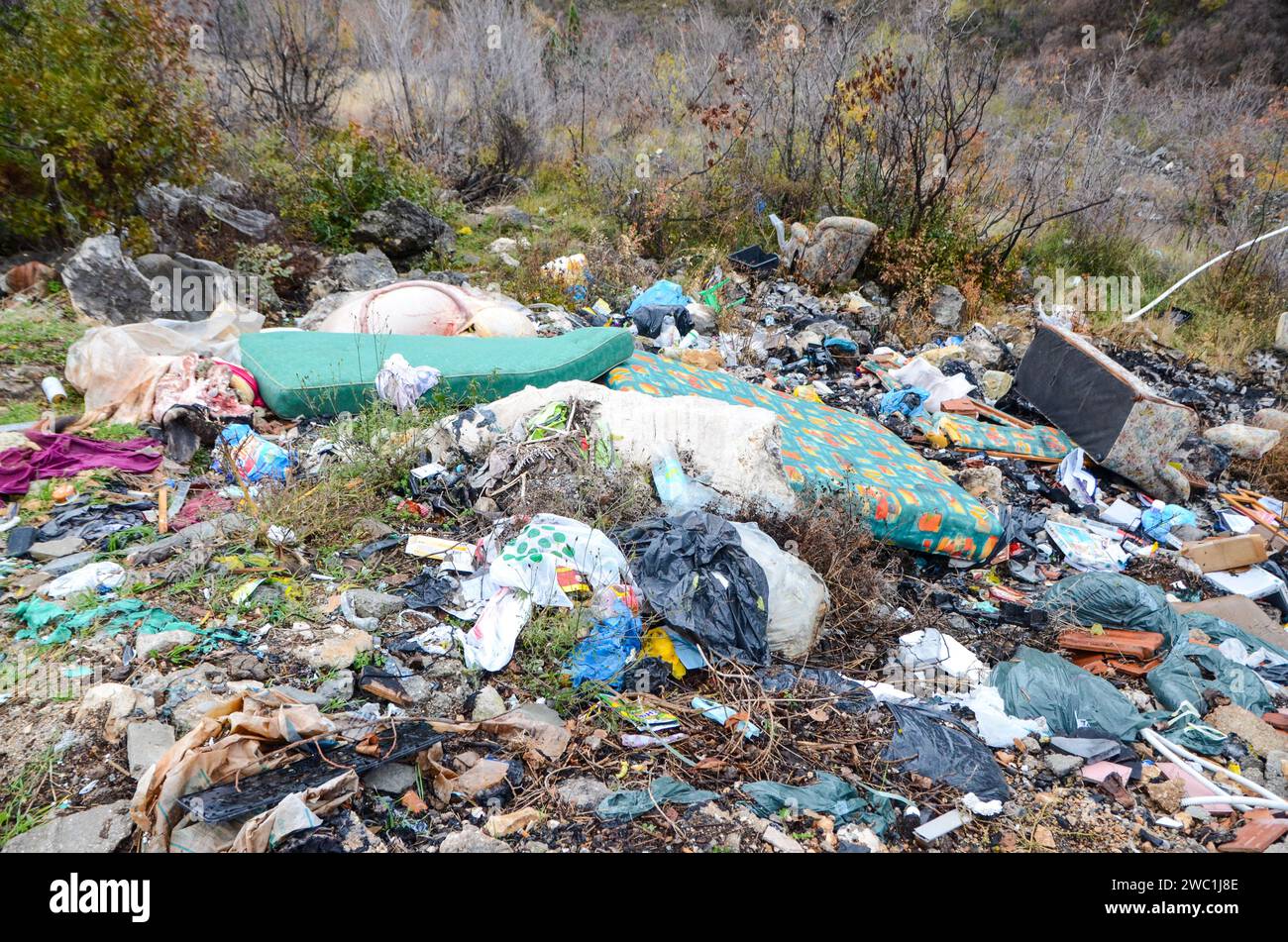 Wild garbage dump in nature. Open landfill site. Pile of garbage. Illegal dumping. Environmental pollution. Waste on landfill area. Animal offal Stock Photo