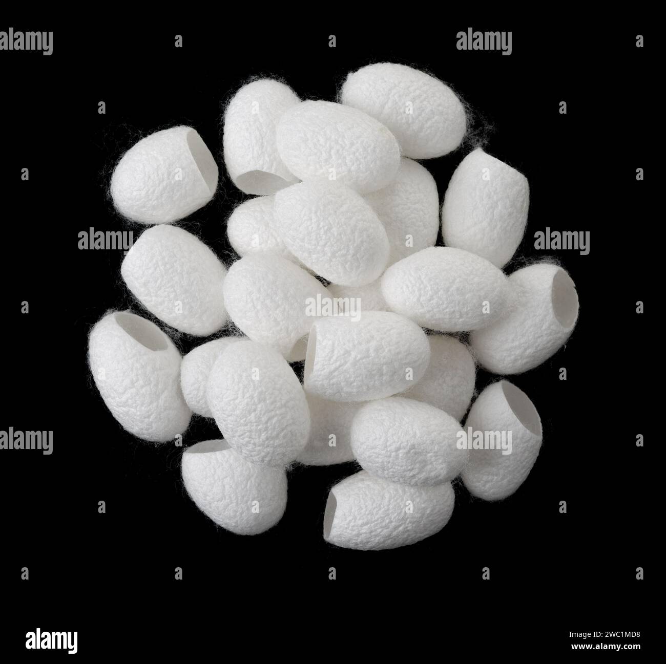 Top view of natural silk cocoons isolated on black Stock Photo