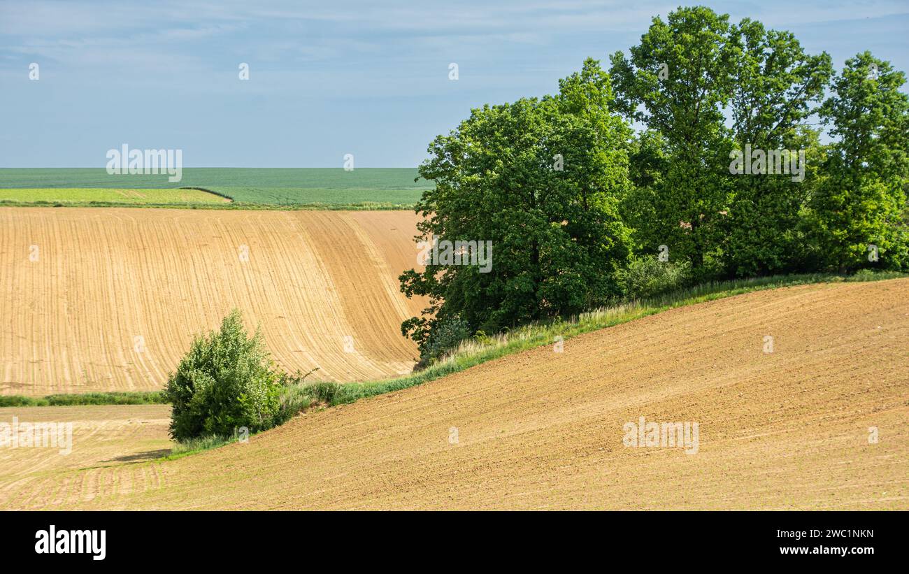 farmland in hilly terrain, plowed brown soil Stock Photo