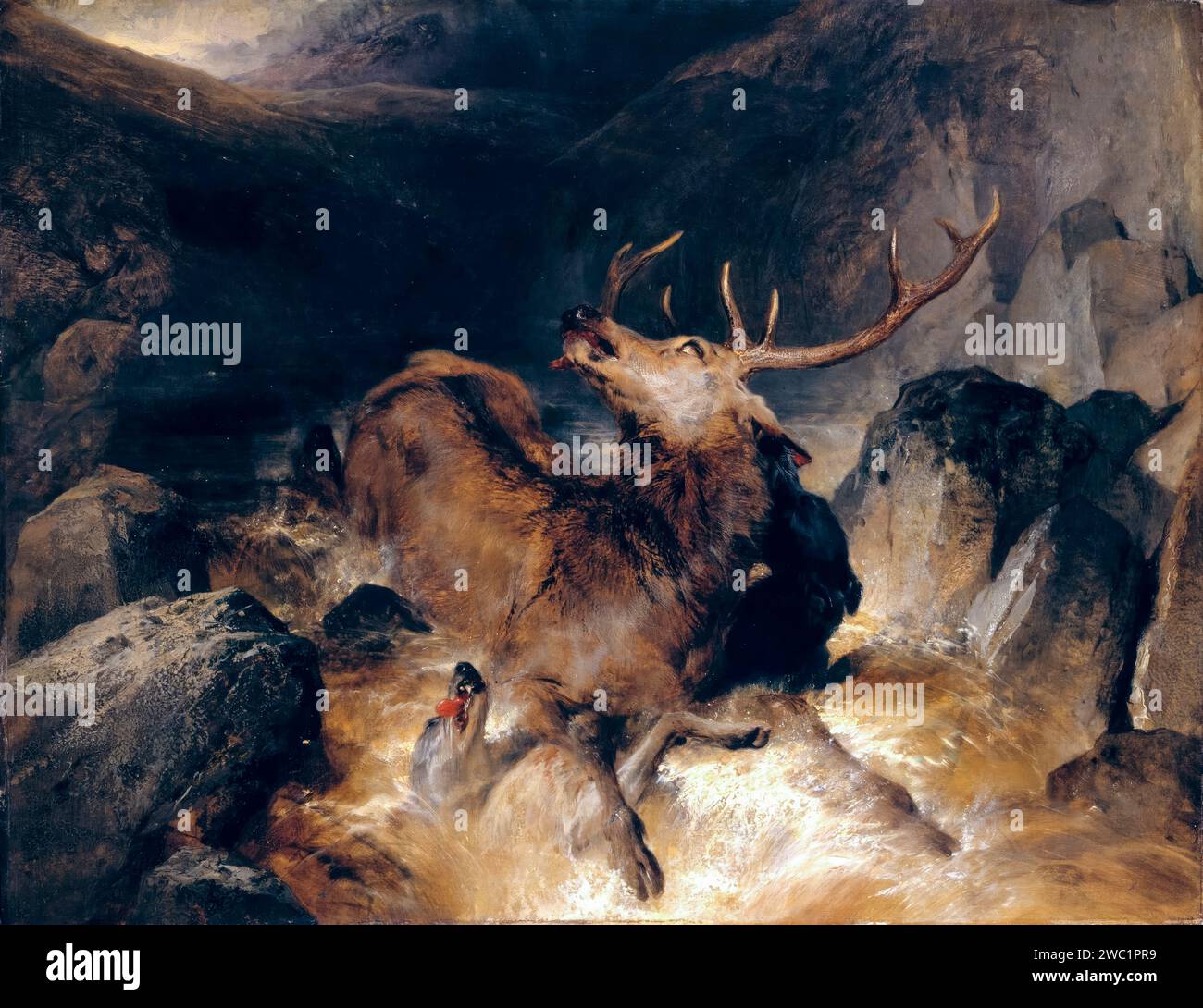 Sir Edwin Henry Landseer, Deer and Deer Hounds in a Mountain Torrent, painting in oil on canvas mounted on wood, 1832 Stock Photo