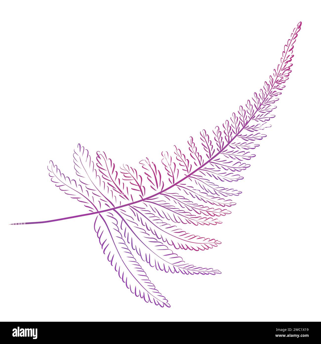 Watercolor purple fern twig. Forest botany, plants, medicinal herbs. Stock Photo