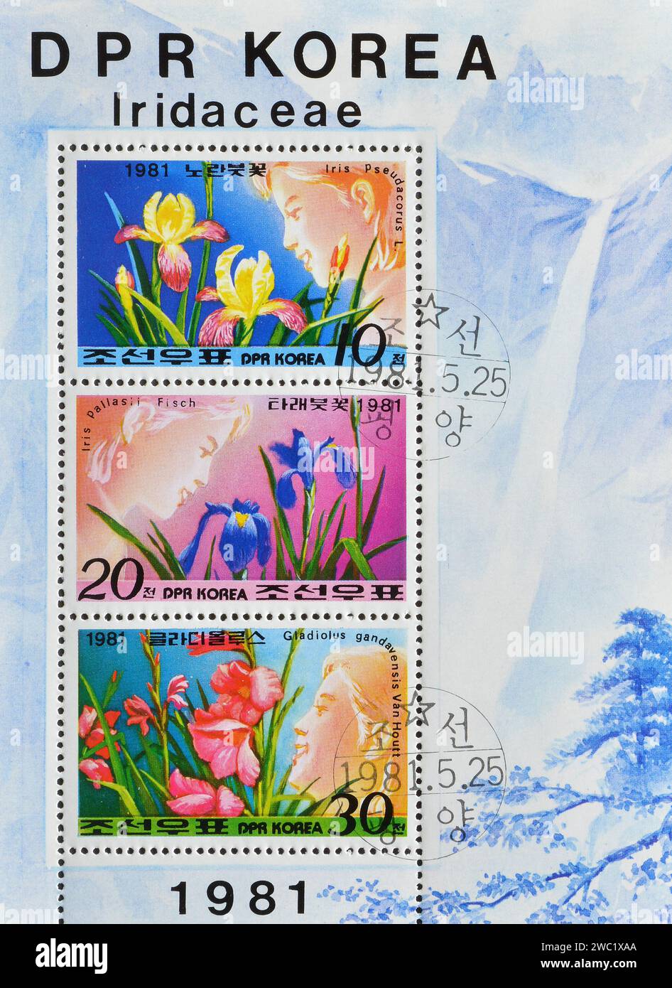 Souvenir Sheet with cancelled postage stamps printed by North Korea, that show Flowers, circa 1981. Stock Photo