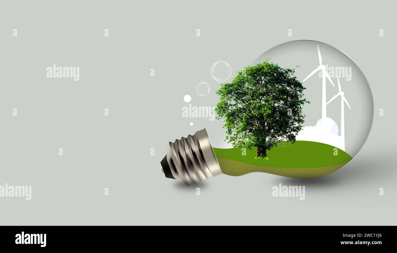 Green tree in light bulb, demonstrates energy savings and turns to solar and natural energy. Saving energy is helping both ourselves and the planet. c Stock Photo