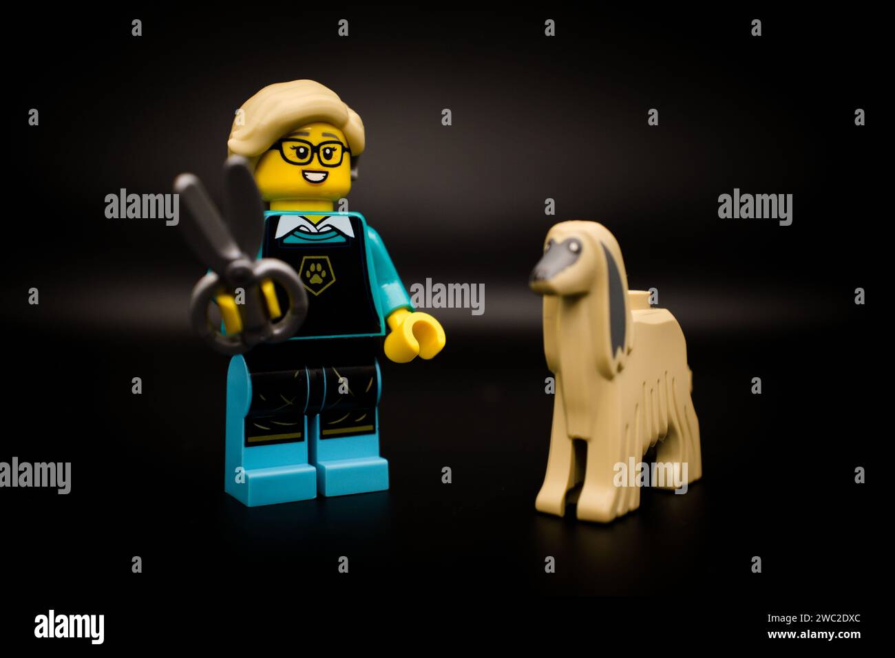 Pet groomer. Lego minifigure and all other bricks are made by THE LEGO GROUP Stock Photo