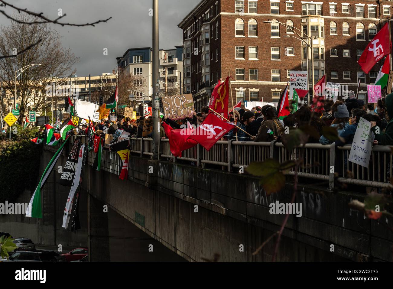 Seattle Events January 2024 Gennie Noelani