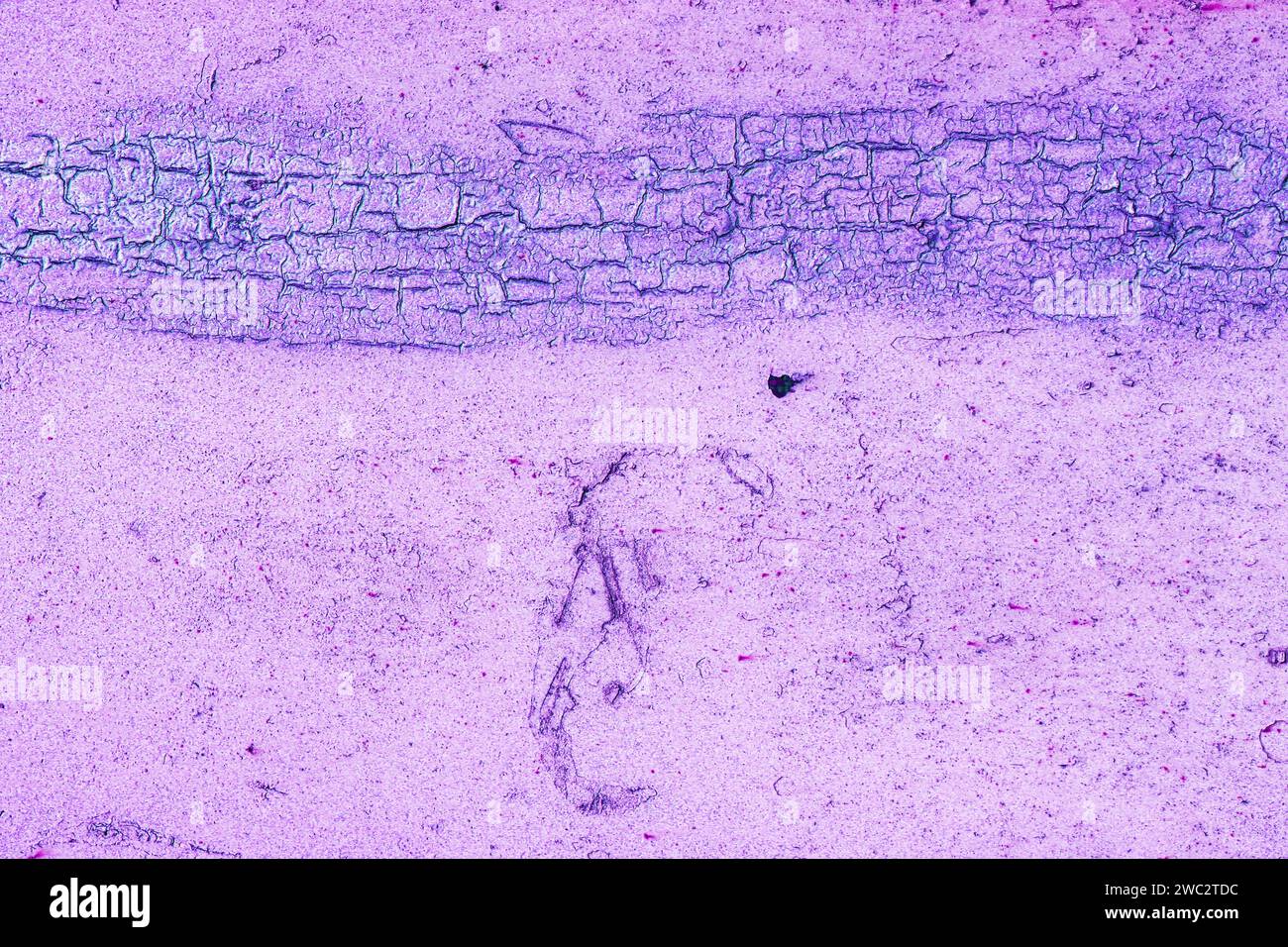 Wall surface with peeling magenta paint. Rusty iron surface Stock Photo