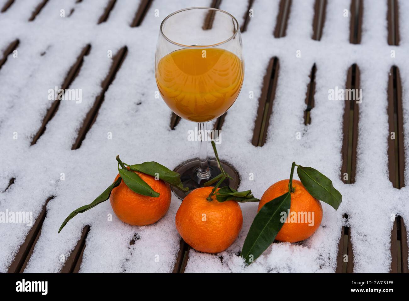 Glass of organic fresh squeezed mandarin juice on a snow covered table in garden and tangerine fruits. Healthy eating lifestyle background. Stock Photo