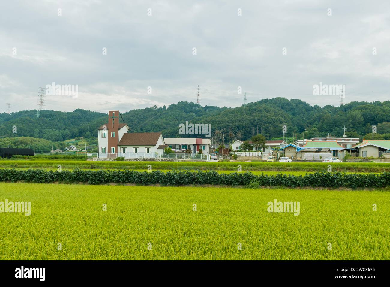 House displaying large Christian cross on roof near rice paddy in rural ...