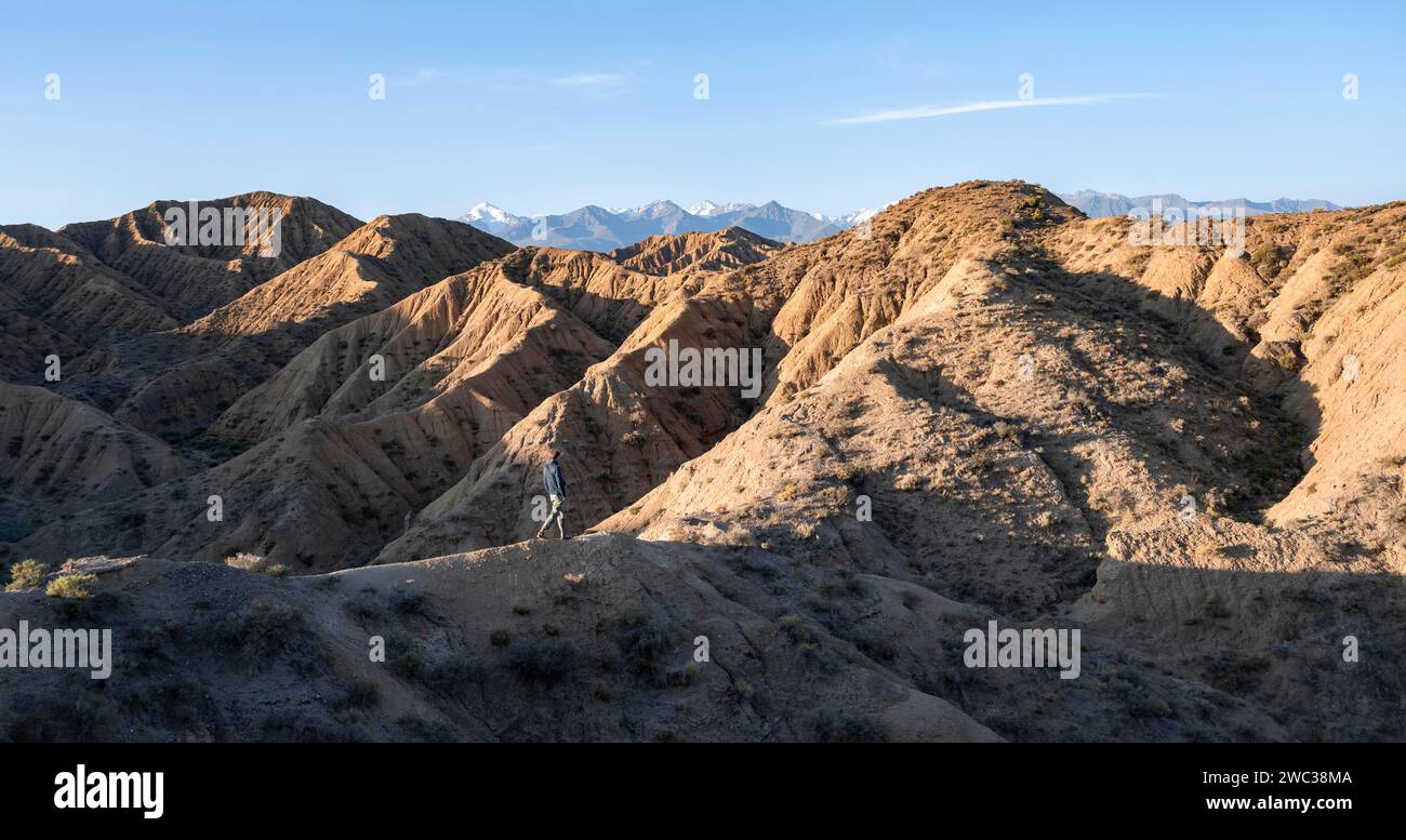 Hiker walks between canyons, behind mountains of the Tian Shan, eroded ...