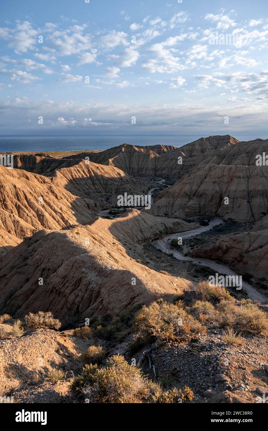 Dry riverbed, canyon, behind Lake Yssykkoel, eroded hilly landscape, badlands, Valley of the Forgotten Rivers, near Bokonbayevo, Yssykkoel, Kyrgyzstan Stock Photo
