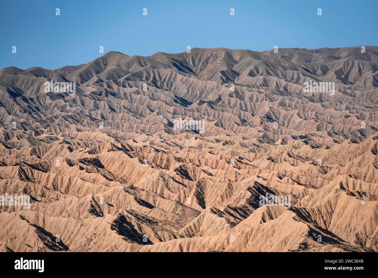 Canyons and eroded hills, Badlands, Valley of the Forgotten Rivers ...