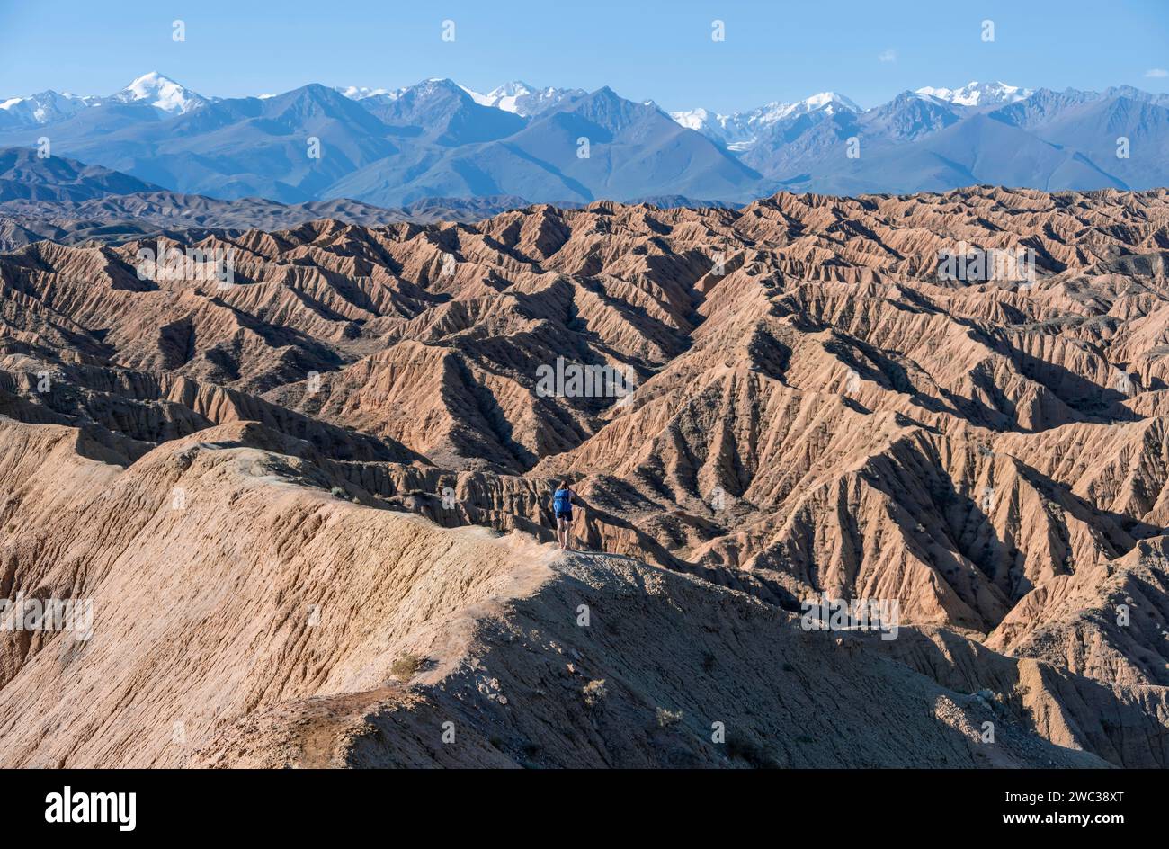 Hiker walking along a canyon, Tian Shan mountains in the background