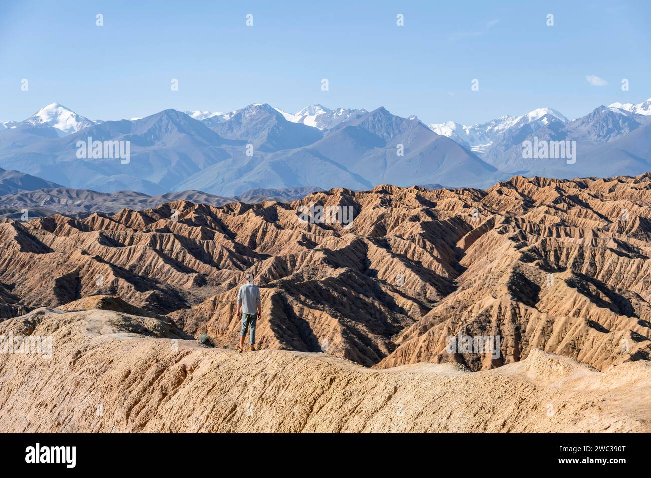 Hiker stands in front of canyons and eroded hills, Badlands, Valley of ...