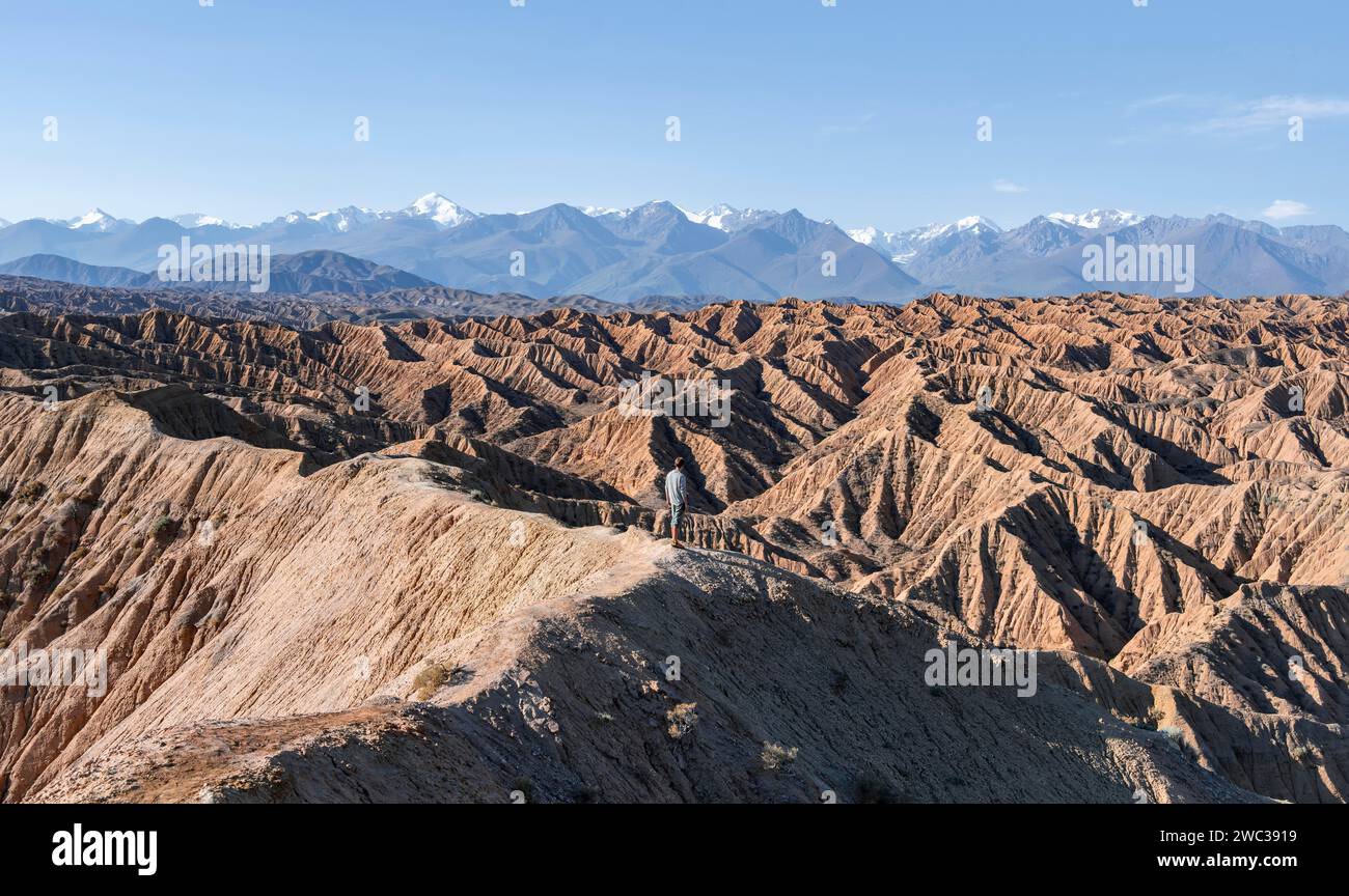 Hiker stands in front of canyons and eroded hills, Badlands, Valley of ...