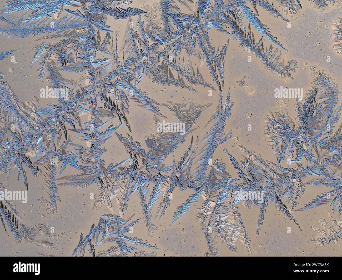 Ice crystals on window pane, Berlin, Germany Stock Photo