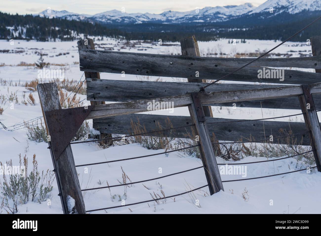 Weathered wooden gate in winter leaning over and open, with mountain backdrop.  Sierra Nevada mountains. Stock Photo