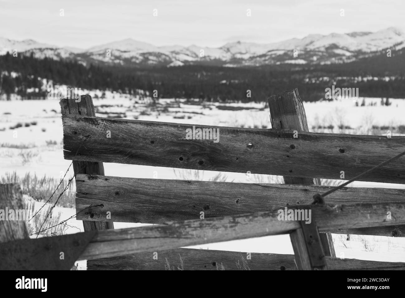 Weathered wooden gate in winter with mountain backdrop.  Sierra Nevada mountains.   Black and white. Stock Photo