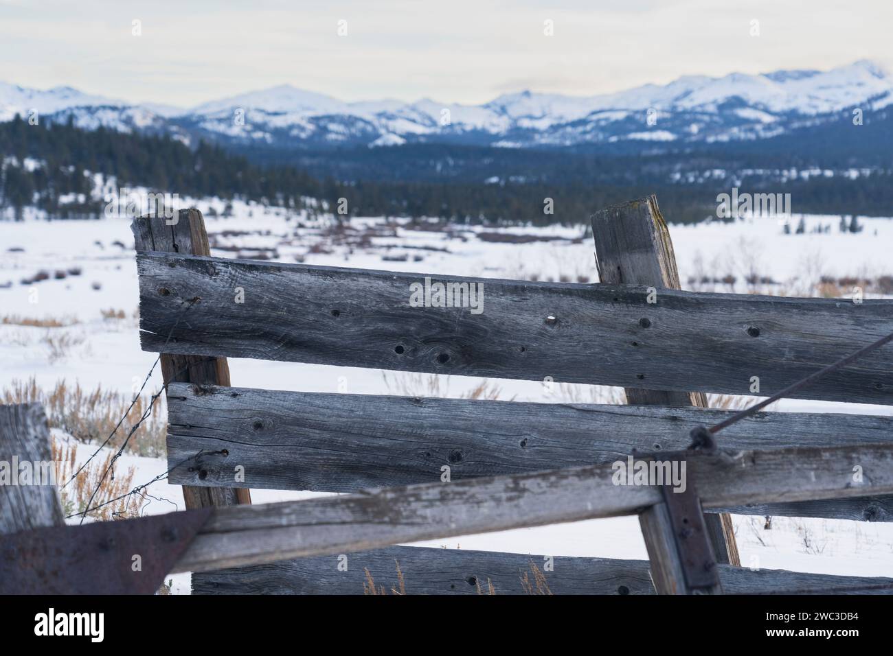 Weathered wooden gate in winter with mountain backdrop.  Sierra Nevada mountains. Stock Photo