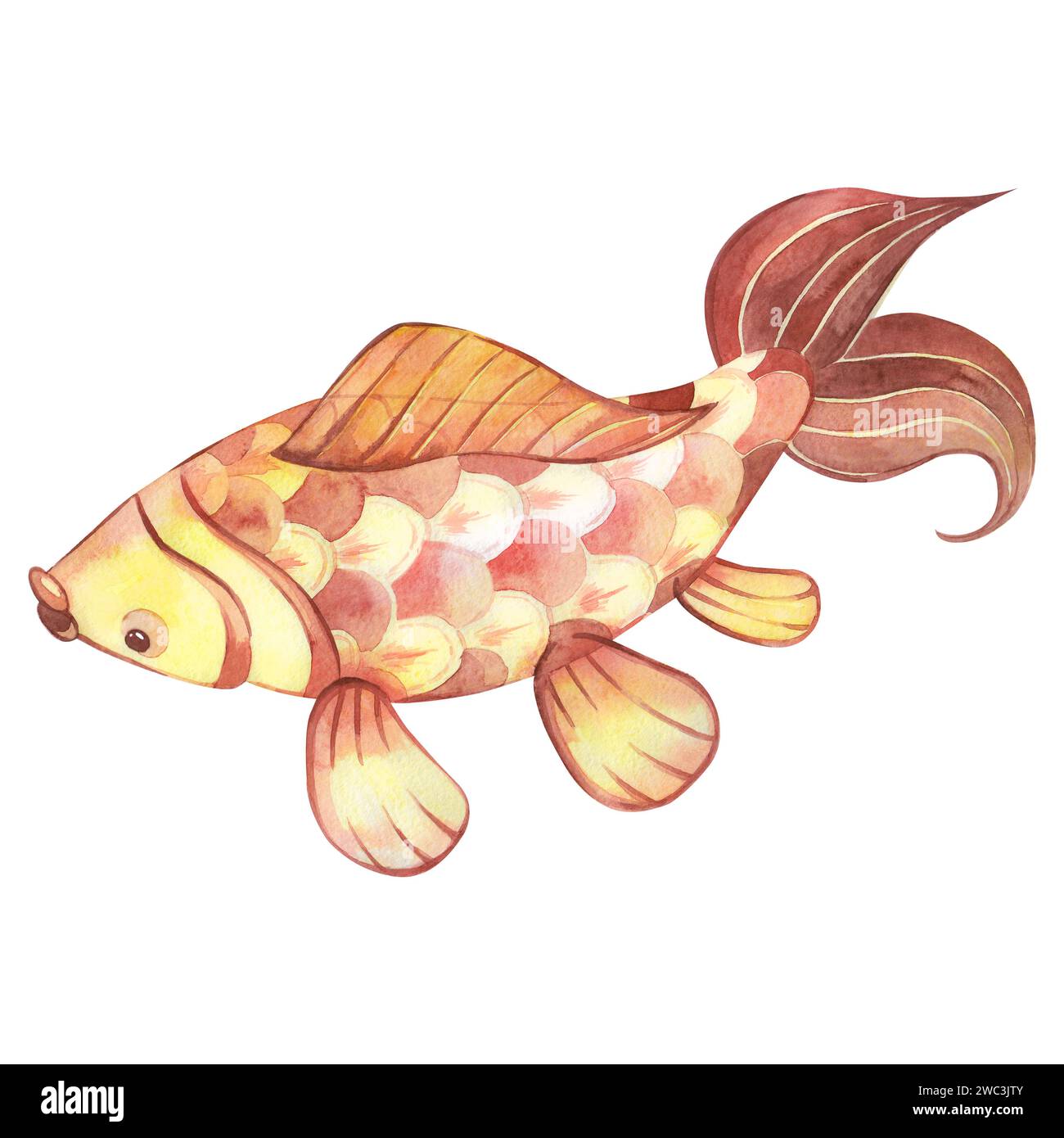 Chinese carp are red and yellow in color with fins and large scales. Fish painted in watercolor. Suitable for printing on fabric and paper Stock Photo