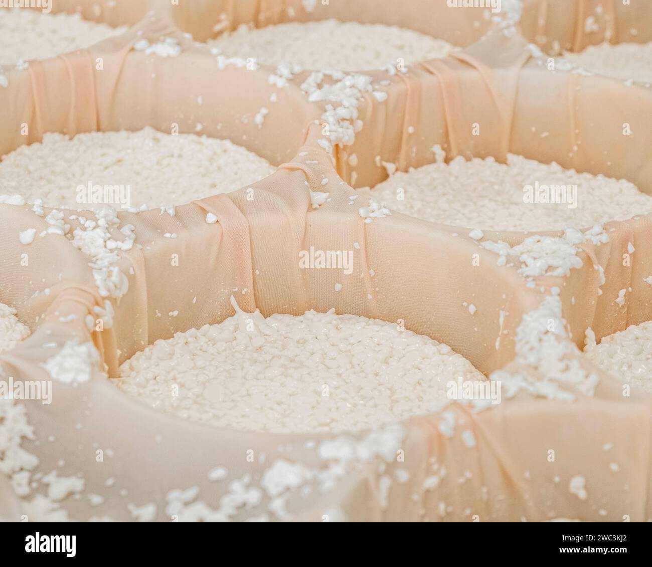 Cheese moulding, PieddeVent cheese factory, Magdalen Islands, Quebec