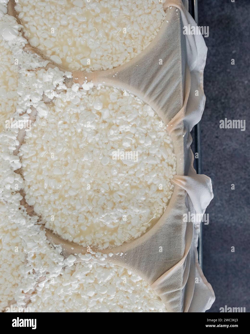 Cheese moulding, PieddeVent cheese factory, Magdalen Islands, Quebec