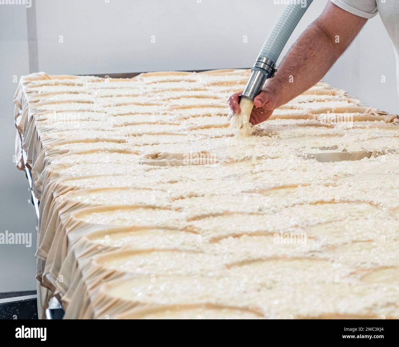 Cheese moulding, PieddeVent cheese factory, Magdalen Islands, Quebec
