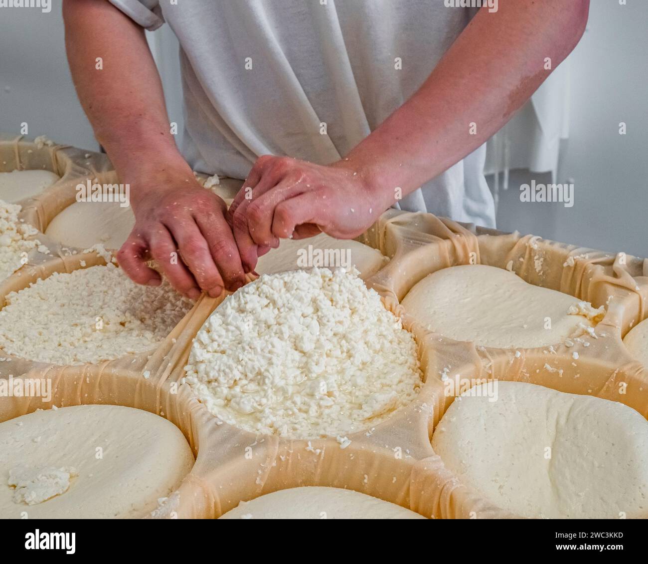 Cheese moulding, PieddeVent cheese factory, Magdalen Islands, Quebec